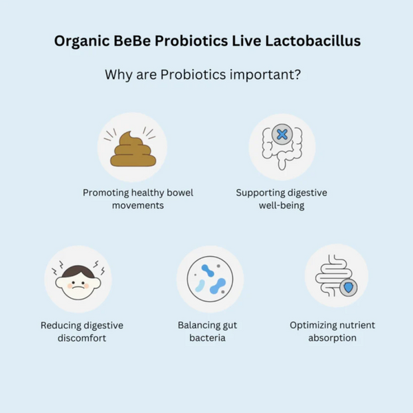 Bebecook - Organic Bebe Probiotics (2g x 30) | Premium Lactobacillus supplement | Good for Gut Health
