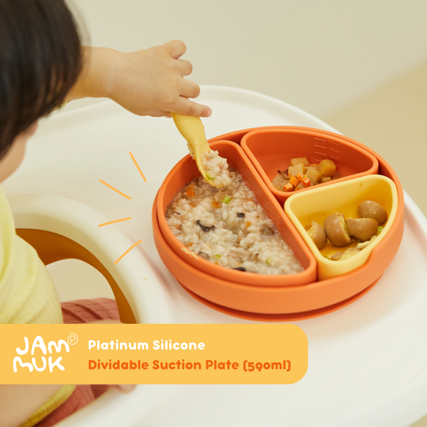 Suction Bowl & Plates with Lid cover | BPA Free | Platinum Silicone